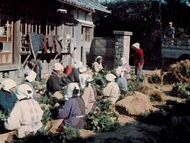 会社初期 舎利の自宅の前での作業風景